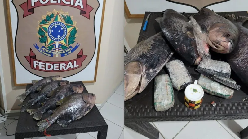 Polícia Federal apreende drogas em peixes congelados no Amazonas