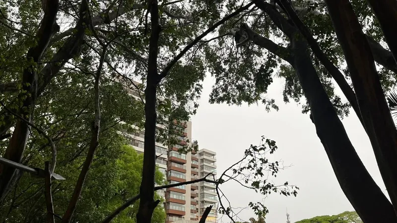 Chuva acompanhada por fortes ventos causa estragos na zona sul de SJC