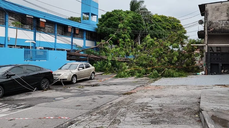 Árvore de escola municipal cai, quebra muro e atinge carro em SJC