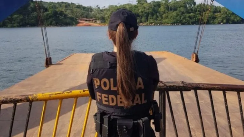 PF desmonta organização criminosa de desmatamento no Pará