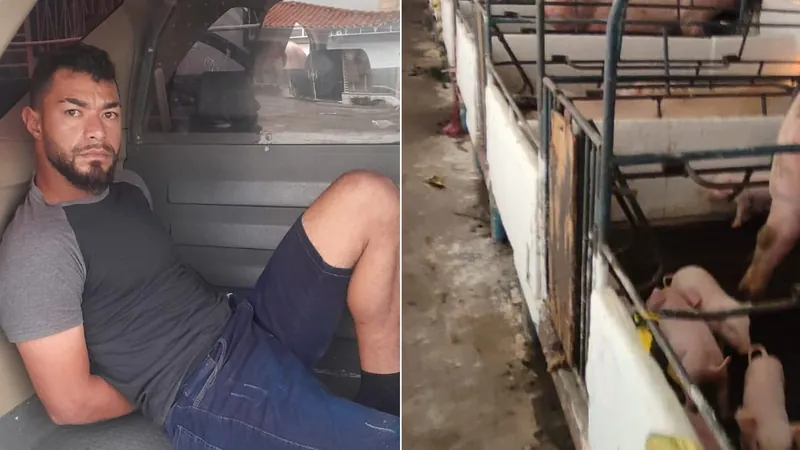 Homem mata colega de trabalho a pauladas dentro de chiqueiro em Indaiatuba