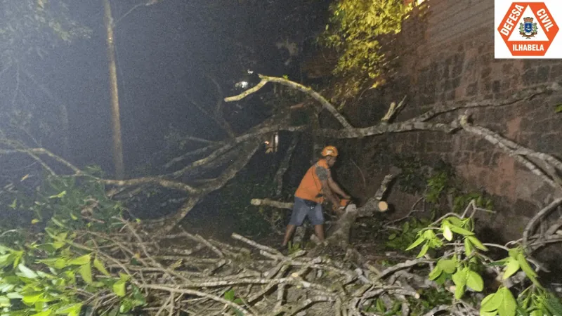 Forte chuva em Ilhabela termina com quedas de árvores, deslizamento e alagamento