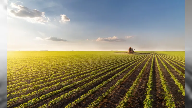 Produtor rural paulista pode ficar sem o crédito outorgado em 2025