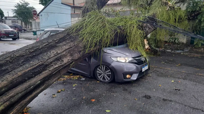 Chuva forte com ventania derruba árvores em São José dos Campos