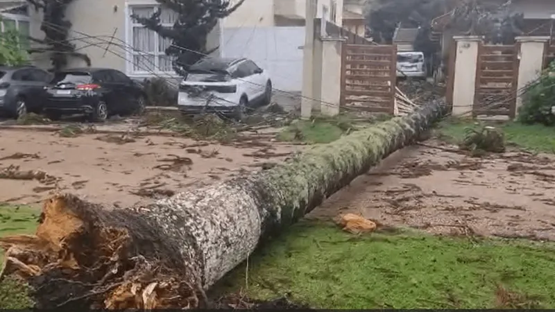 Moradores ficam sem energia em Campos do Jordão após tempestade; veja o vídeo