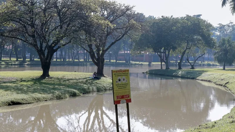 Piracicaba registra primeiro caso positivo para febre maculosa no ano