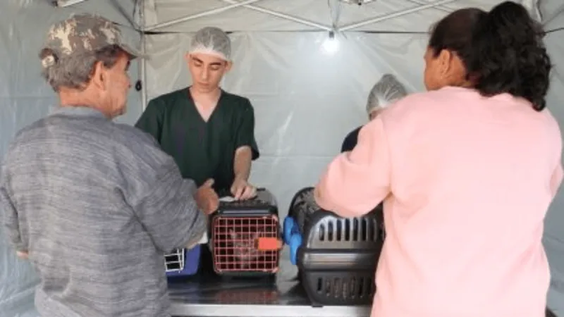 Jacareí realiza microchipagem em pets e emite RG animal neste sábado (21)