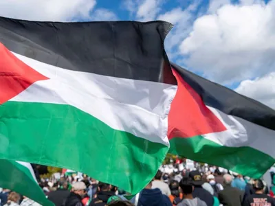 Palestinos celebram aceitação de acordo de trégua do Hamas 