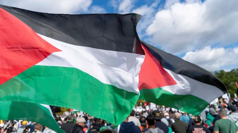 Imagem ilustrativa da bandeira palestina durante protestos ao redor do mundo