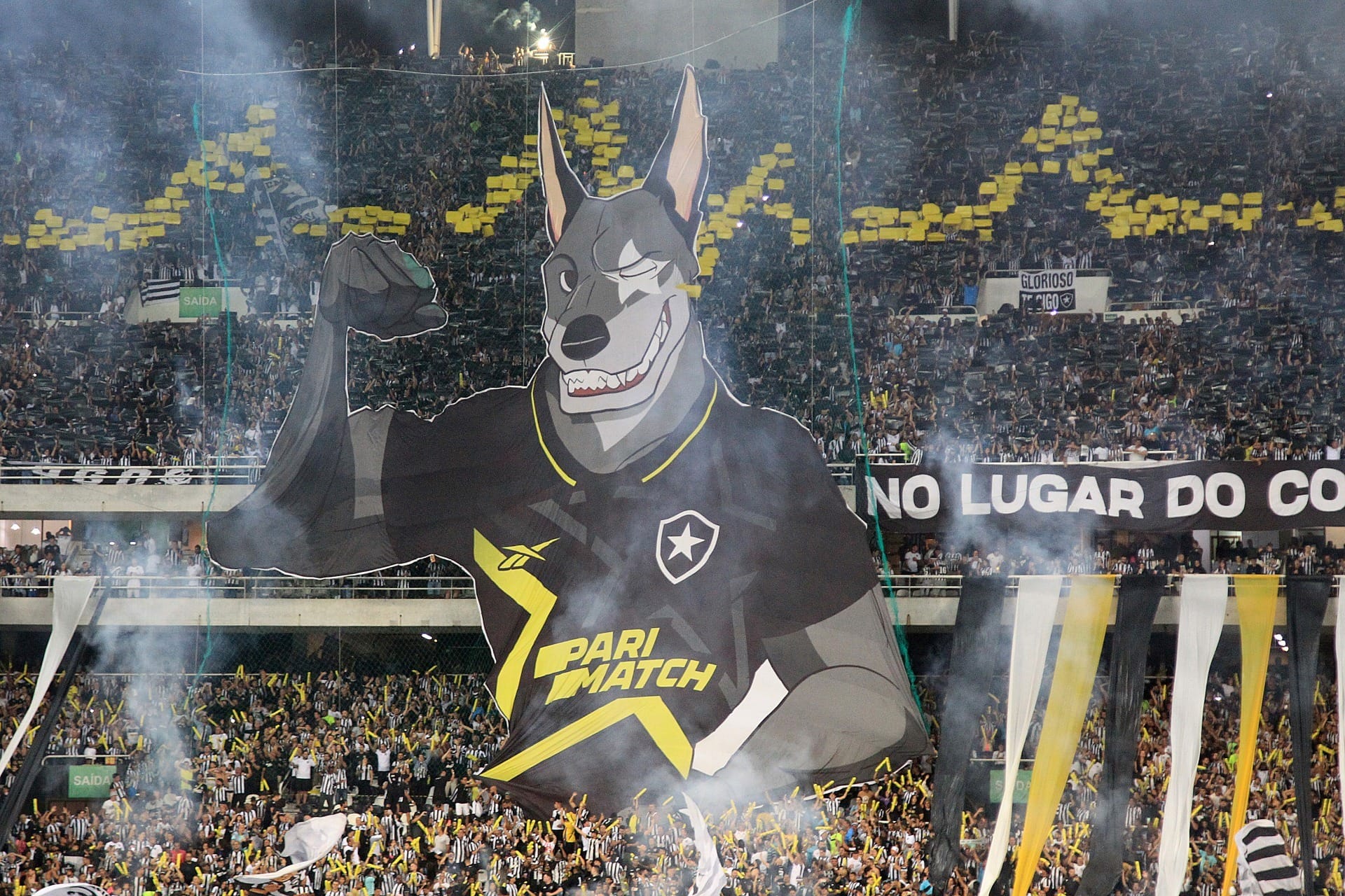 STJD nega liminar do Botafogo e jogo contra o Fortaleza está adiado