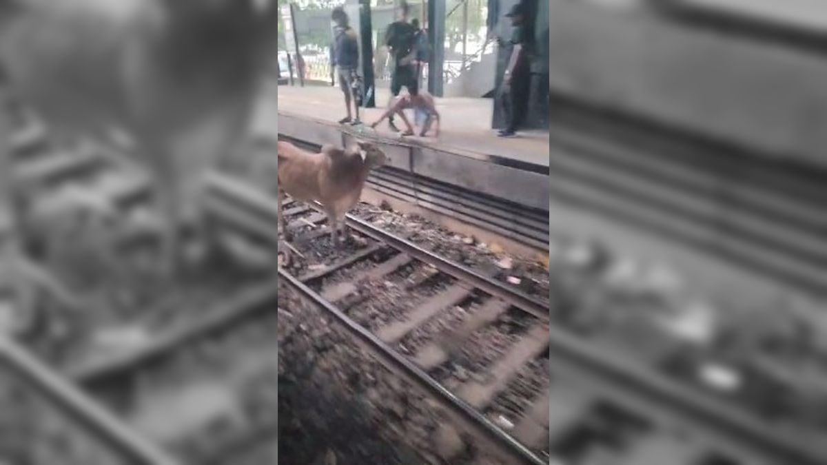 Supervia Três Bois Invadem Linha Férrea Na Estação De Magalhães Bastos