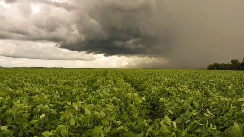 Como será o clima no Brasil em janeiro? Veja a previsão