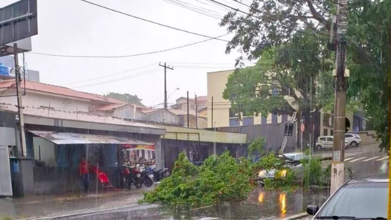 Galho de árvore cai sobre carro na região da Avenida Orosimbo Maia, em Campinas