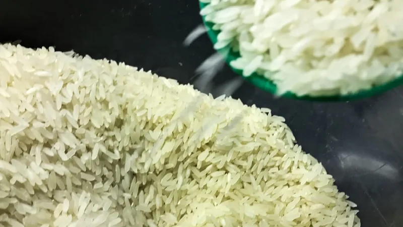 Vai faltar arroz? Federação dos produtores garante abastecimento no país