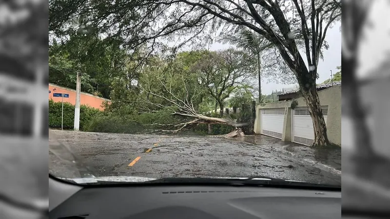 Chuva deixa rastro de destruição em SP: três pessoas morreram