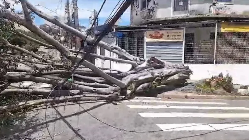 Normalização total da energia elétrica em São Paulo só deve ocorrer terça-feira  (7), diz Enel