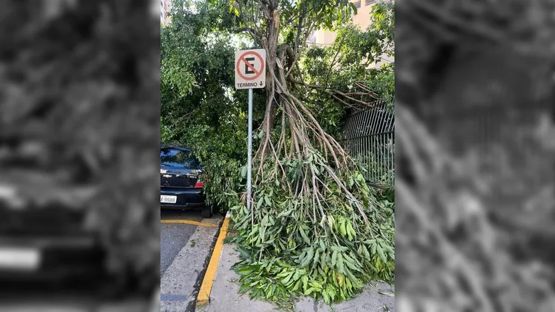 São Paulo tem 300 mil pessoas no escuro mais de 70 horas após temporal