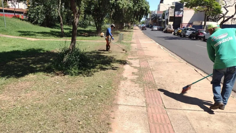 Os serviços acontecem em áreas verdes da cidade