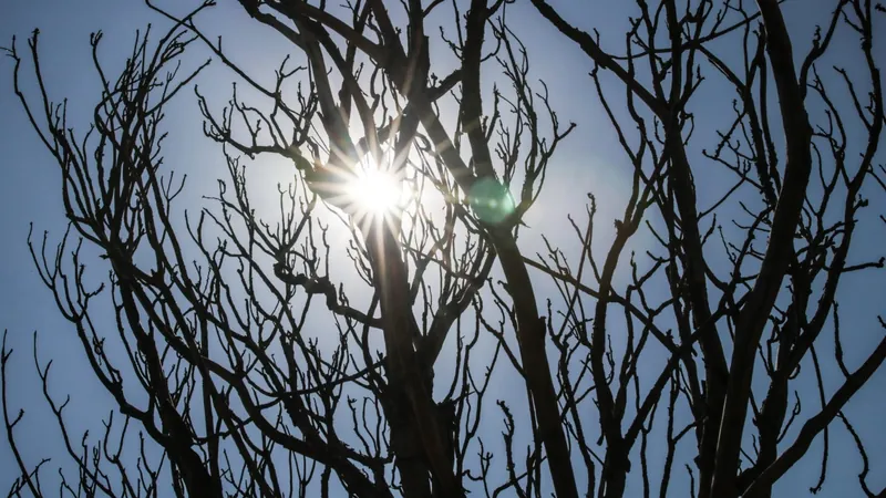 Parte do Brasil está em alerta para onda de calor, aponta Inmet