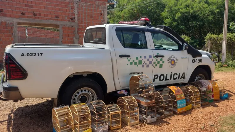 A polícia encontrou aves mantidas em cativeiro