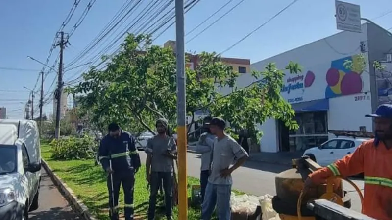 Também será feito o reposicionamento de outros nove