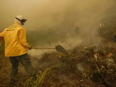Vídeo: queimadas no Pantanal superam recorde histórico