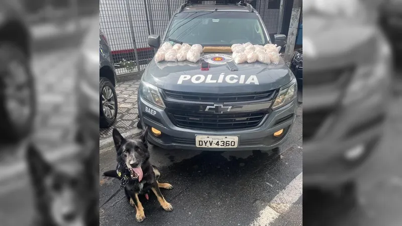 Mulher é presa com drogas na rodoviária de Taubaté