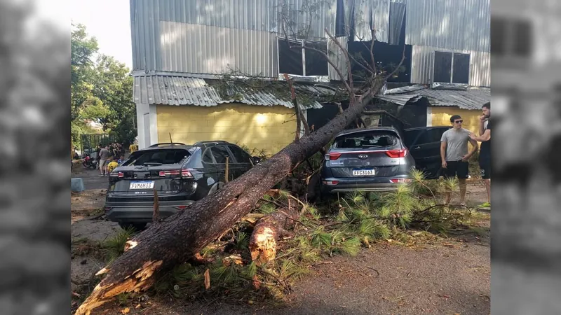 Chuva e vento derrubam árvores e causam outros estragos em Taubaté