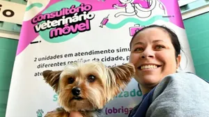 Consultórios Veterinários Móveis atendem as regiões de Campinas; confira