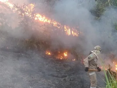 Governo do Amapá decreta situação de emergência por incêndios e clima seco