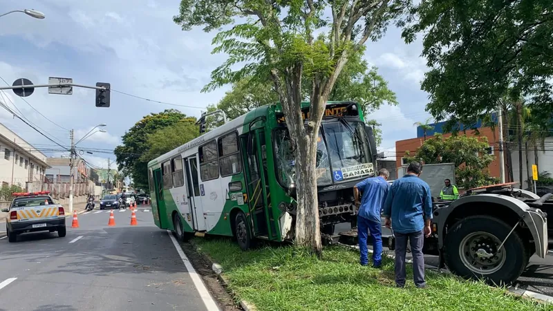 Homem rouba ônibus municipal de Campinas e bate contra árvore durante a fuga