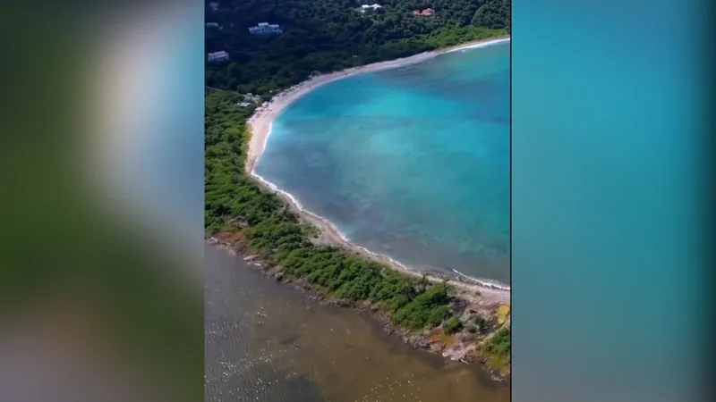 Bilionário procura "caseiros de luxo" para ilha paradisíaca no Caribe