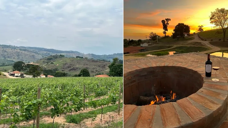 Evento de vinhos acontece neste final de semana em Espírito Santo do Pinhal