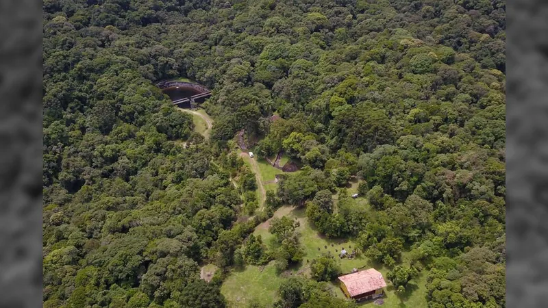 Desmatamento ilegal da Mata Atlântica reduz 64% no Paraná em 2023