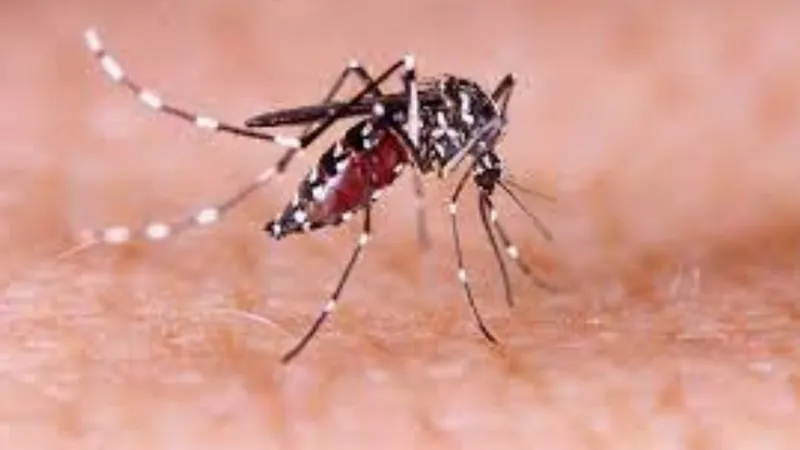 O município fica em estado de alerta para dengue