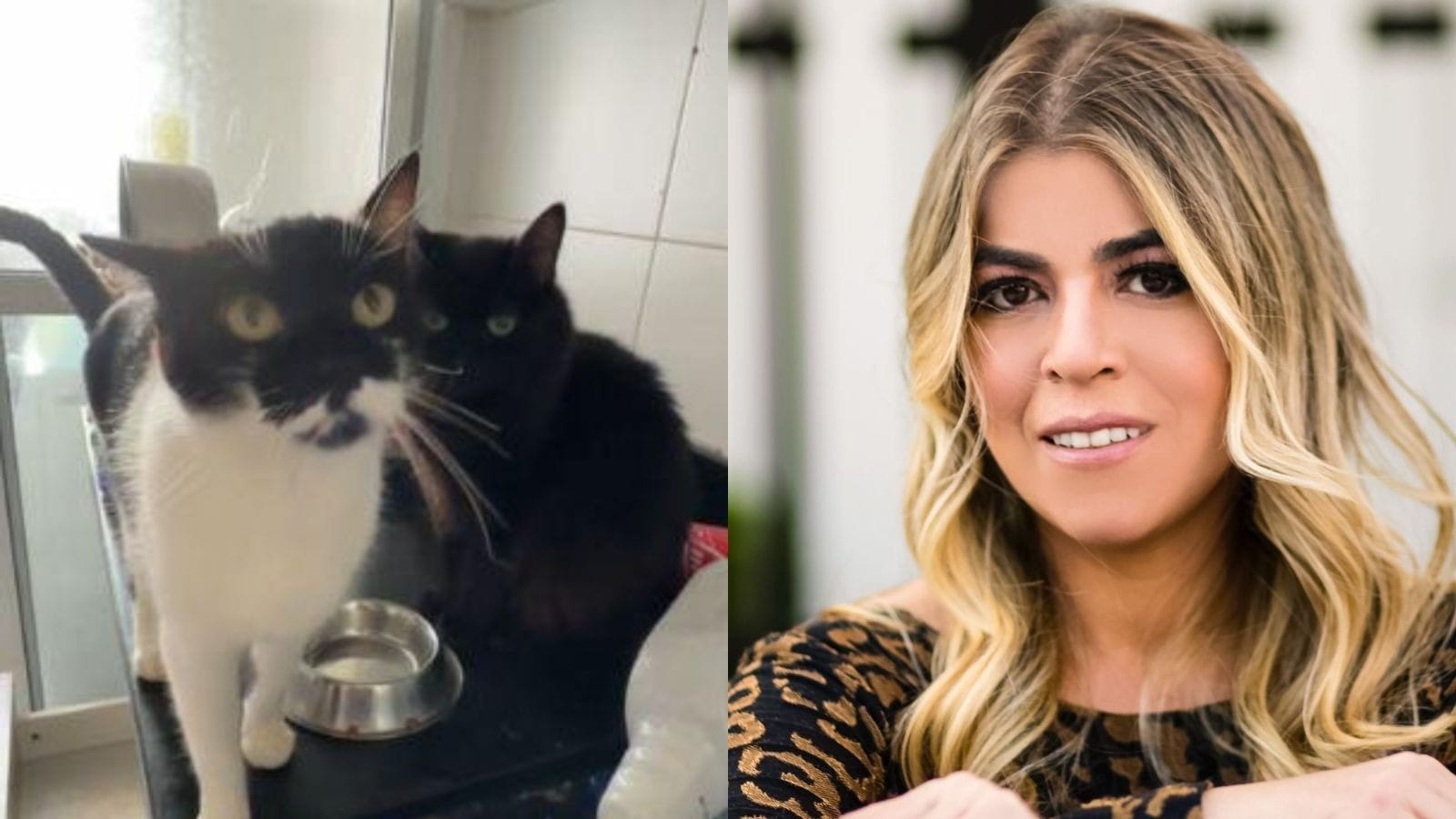 VÍDEO: Polícia resgata pets abandonados em apartamento de Bruna Surfistinha  | Band