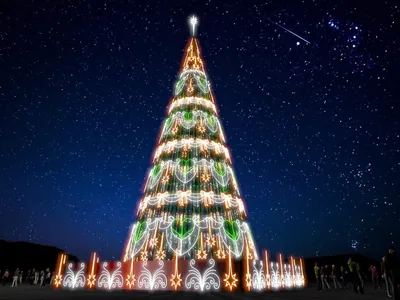 Árvore de Natal da Lagoa volta a brilhar com incentivo de novo patrocinador