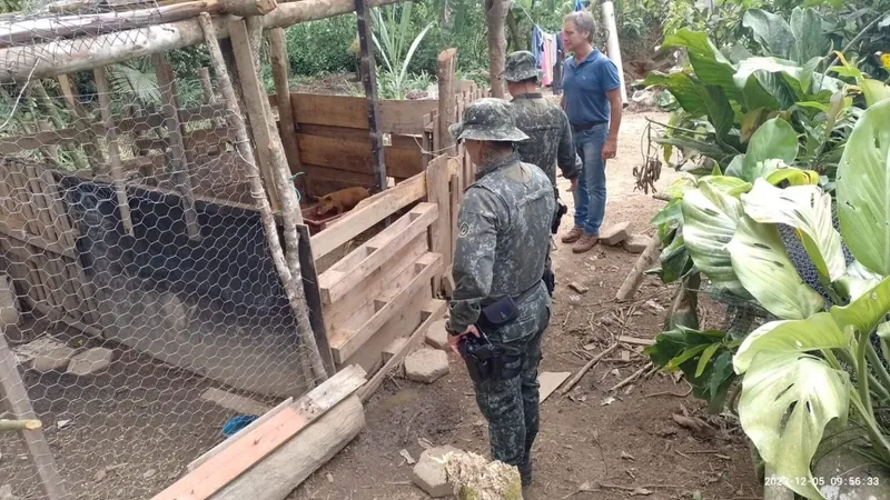 Operação Ambiental contra maus tratos a animais notifica dupla em Caraguatatuba