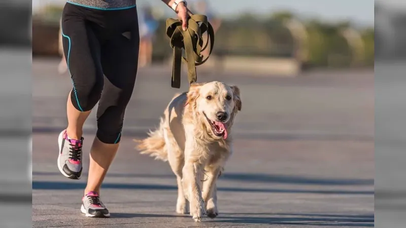 Conheça os cuidados e confira dicas de como correr com seu pet