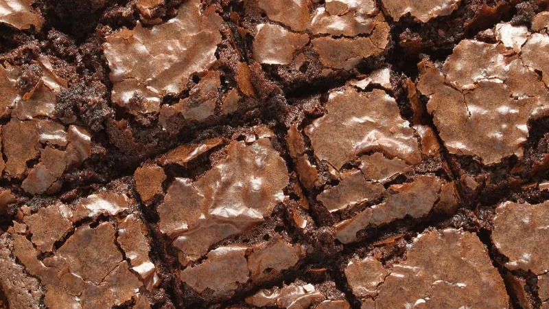 Dia do Brownie: como acertar na textura e uma receita perfeita