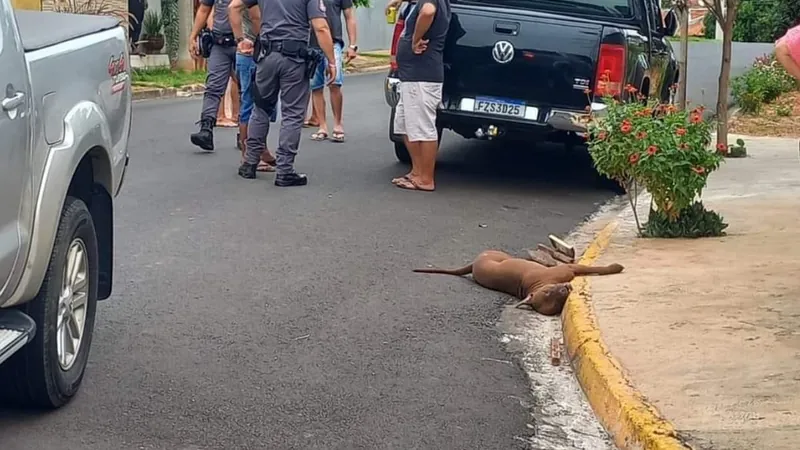 A polícia registrou um boletim de ocorrência