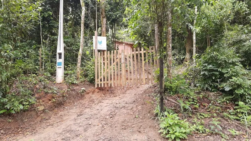 PM Ambiental realiza operação contra desmatamento ilegal em Caraguatatuba