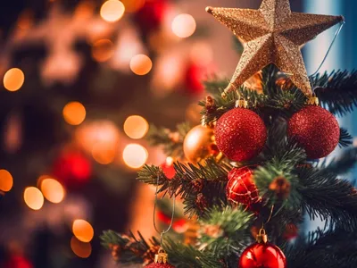 Seca que atingiu o Brasil deixa o pinheirinho de Natal mais caro; assista