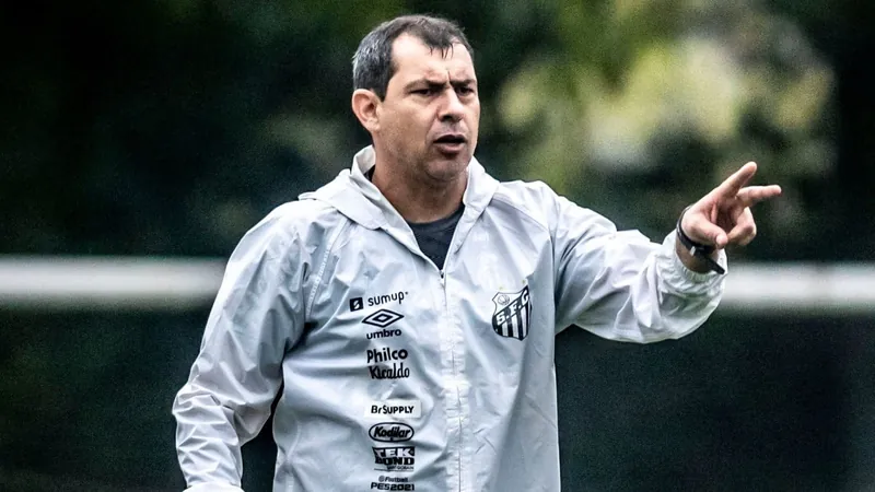 Fábio Carille recusou a proposta do Santos