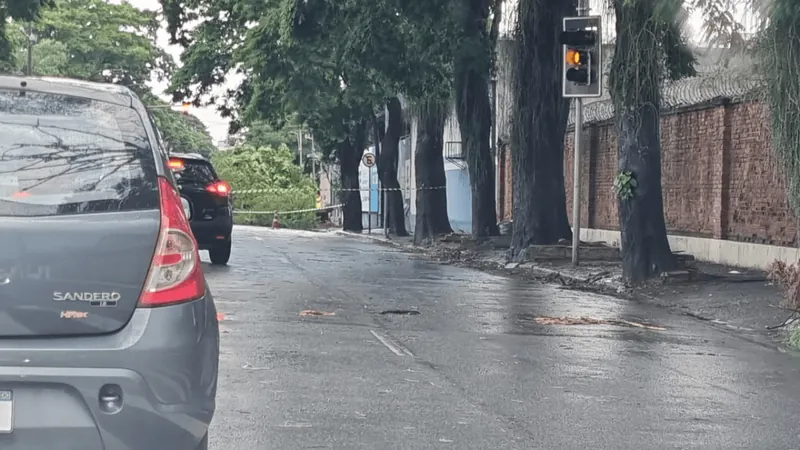 Forte chuva causa alagamento e quedas de árvores em Taubaté e Tremembé