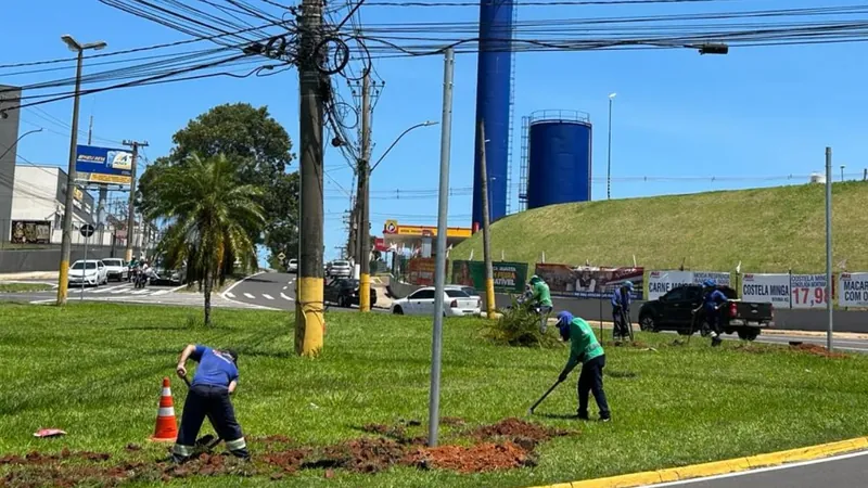 O cruzamento receberá oito porta-focos