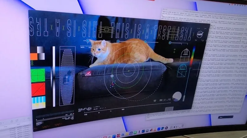 NASA transmite vídeo de gato em mensagem de laser do espaço