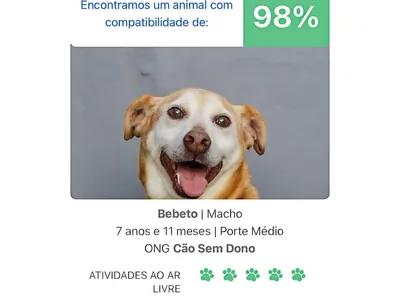 Aplicativo facilita ‘match’ perfeito entre cãezinhos e humanos; conheça