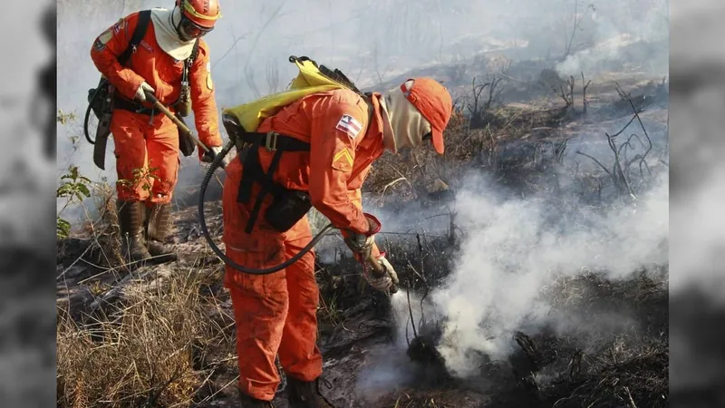 Incêndio é controlado na região da Chapada Diamantina