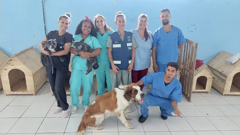 Agentes da Prefeitura resgatam animais abandonados na Pavuna